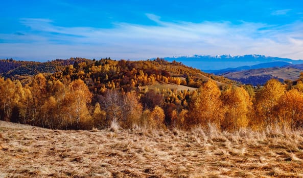 beautiful autumn landscapes in the Romanian mountains, Fantanele village area, Sibiu county, Cindrel mountains, Romania