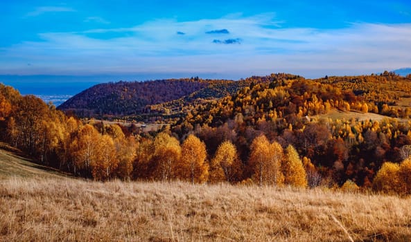 beautiful autumn landscapes in the Romanian mountains, Fantanele village area, Sibiu county, Cindrel mountains, Romania