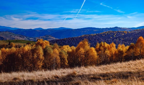 beautiful autumn landscapes in the Romanian mountains, Fantanele village area, Sibiu county, Cindrel mountains, Romania