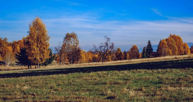 beautiful autumn landscapes in the Romanian mountains, Fantanele village area, Sibiu county, Cindrel mountains, Romania