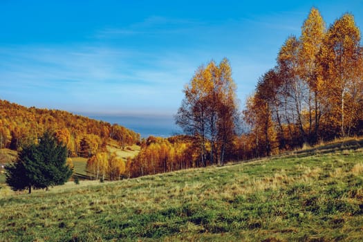 beautiful autumn landscapes in the Romanian mountains, Fantanele village area, Sibiu county, Cindrel mountains, Romania