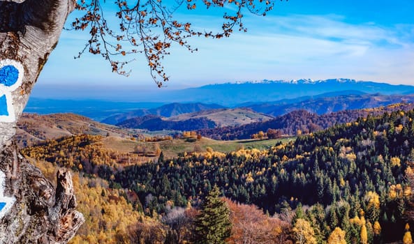 beautiful autumn landscapes in the Romanian mountains, Fantanele village area, Sibiu county, Cindrel mountains, Romania