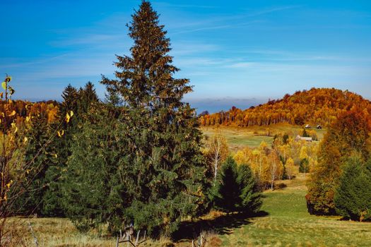 beautiful autumn landscapes in the Romanian mountains, Fantanele village area, Sibiu county, Cindrel mountains, Romania