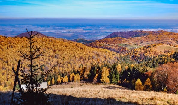 beautiful autumn landscapes in the Romanian mountains, Fantanele village area, Sibiu county, Cindrel mountains, Romania