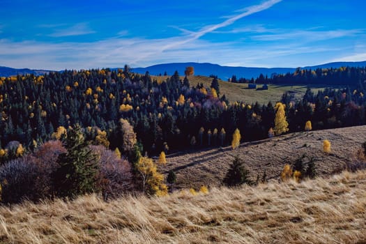 beautiful autumn landscapes in the Romanian mountains, Fantanele village area, Sibiu county, Cindrel mountains, Romania