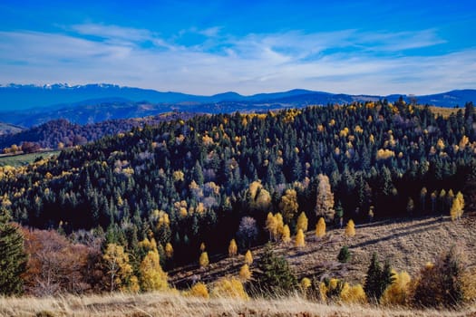 beautiful autumn landscapes in the Romanian mountains, Fantanele village area, Sibiu county, Cindrel mountains, Romania