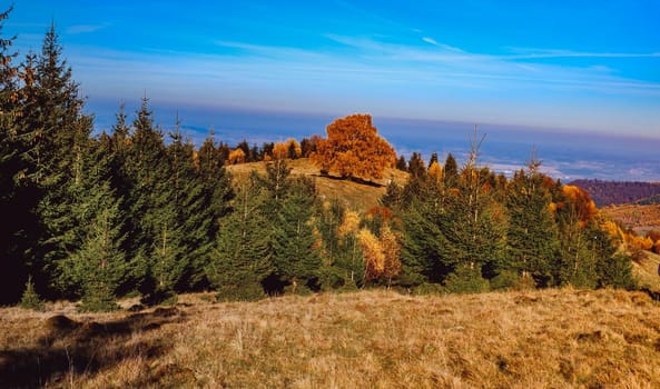 beautiful autumn landscapes in the Romanian mountains, Fantanele village area, Sibiu county, Cindrel mountains, Romania