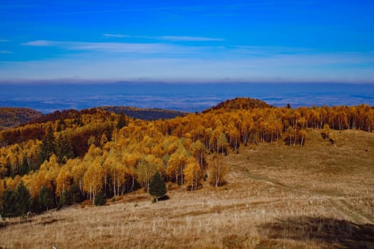 beautiful autumn landscapes in the Romanian mountains, Fantanele village area, Sibiu county, Cindrel mountains, Romania