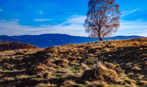 beautiful autumn landscapes in the Romanian mountains, Fantanele village area, Sibiu county, Cindrel mountains, Romania
