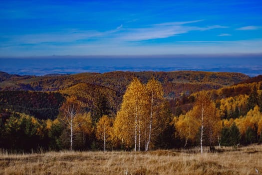 beautiful autumn landscapes in the Romanian mountains, Fantanele village area, Sibiu county, Cindrel mountains, Romania