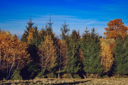 beautiful autumn landscapes in the Romanian mountains, Fantanele village area, Sibiu county, Cindrel mountains, Romania