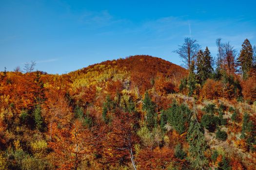 beautiful autumn landscapes in the Romanian mountains, Fantanele village area, Sibiu county, Cindrel mountains, Romania