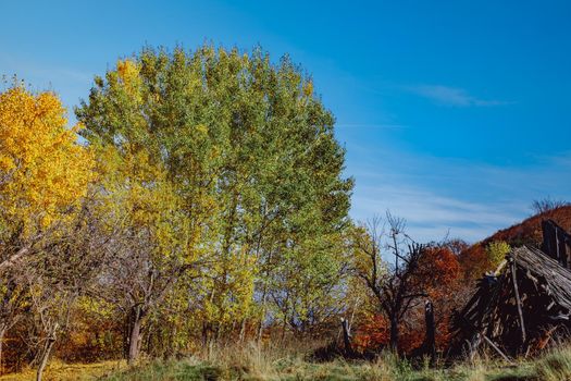 beautiful autumn landscapes in the Romanian mountains, Fantanele village area, Sibiu county, Cindrel mountains, Romania