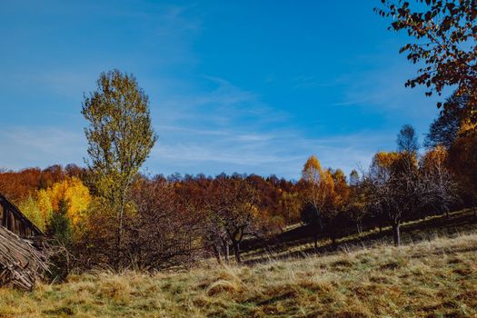 beautiful autumn landscapes in the Romanian mountains, Fantanele village area, Sibiu county, Cindrel mountains, Romania