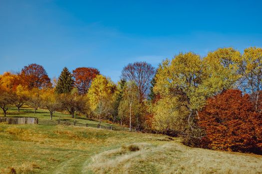 beautiful autumn landscapes in the Romanian mountains, Fantanele village area, Sibiu county, Cindrel mountains, Romania
