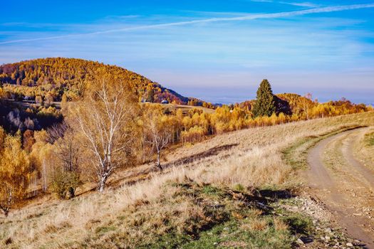 beautiful autumn landscapes in the Romanian mountains, Fantanele village area, Sibiu county, Cindrel mountains, Romania