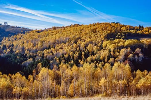 beautiful autumn landscapes in the Romanian mountains, Fantanele village area, Sibiu county, Cindrel mountains, Romania