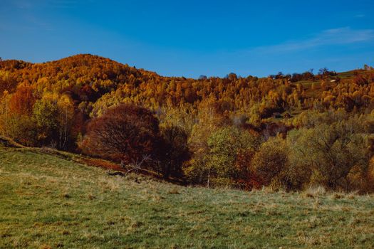 beautiful autumn landscapes in the Romanian mountains, Fantanele village area, Sibiu county, Cindrel mountains, Romania