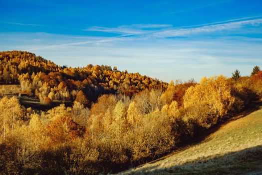 beautiful autumn landscapes in the Romanian mountains, Fantanele village area, Sibiu county, Cindrel mountains, Romania