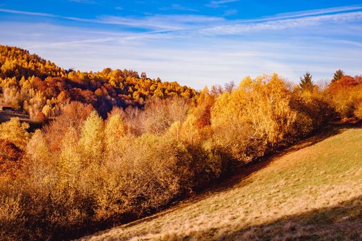 beautiful autumn landscapes in the Romanian mountains, Fantanele village area, Sibiu county, Cindrel mountains, Romania