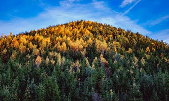 beautiful autumn landscapes in the Romanian mountains, Fantanele village area, Sibiu county, Cindrel mountains, Romania