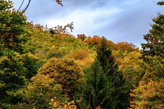 Colorful autumn landscape in the Romanian Carpathians, Fantanele village, Sibiu county, Cindrel mountains, 1100m, Romania