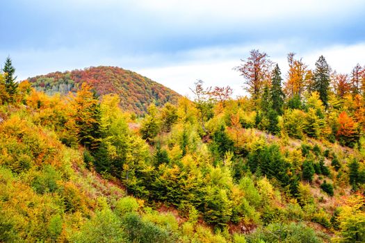 Colorful autumn landscape in the Romanian Carpathians, Fantanele village, Sibiu county, Cindrel mountains, 1100m, Romania