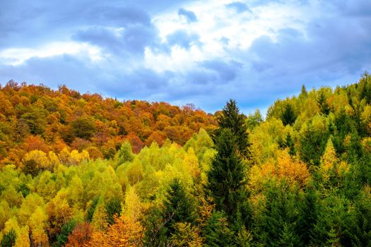 Colorful autumn landscape in the Romanian Carpathians, Fantanele village, Sibiu county, Cindrel mountains, 1100m, Romania