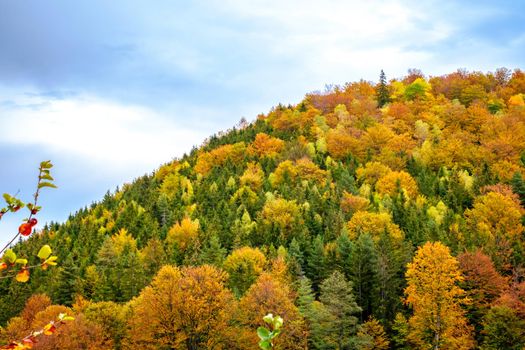 Colorful autumn landscape in the Romanian Carpathians, Fantanele village, Sibiu county, Cindrel mountains, 1100m, Romania