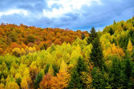 Colorful autumn landscape in the Romanian Carpathians, Fantanele village, Sibiu county, Cindrel mountains, 1100m, Romania