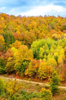 Colorful autumn landscape in the Romanian Carpathians, Fantanele village, Sibiu county, Cindrel mountains, 1100m, Romania