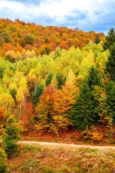 Colorful autumn landscape in the Romanian Carpathians, Fantanele village, Sibiu county, Cindrel mountains, 1100m, Romania