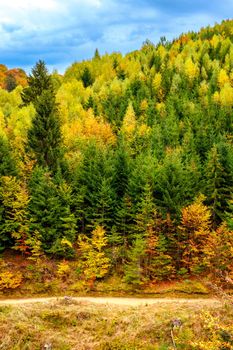 Colorful autumn landscape in the Romanian Carpathians, Fantanele village, Sibiu county, Cindrel mountains, 1100m, Romania