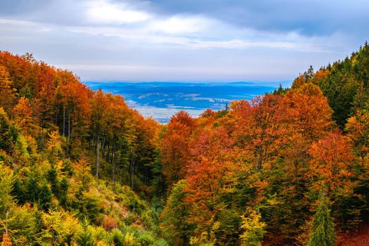 Colorful autumn landscape in the Romanian Carpathians, Fantanele village, Sibiu county, Cindrel mountains, 1100m, Romania