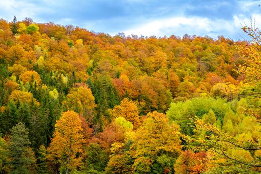 Colorful autumn landscape in the Romanian Carpathians, Fantanele village, Sibiu county, Cindrel mountains, 1100m, Romania