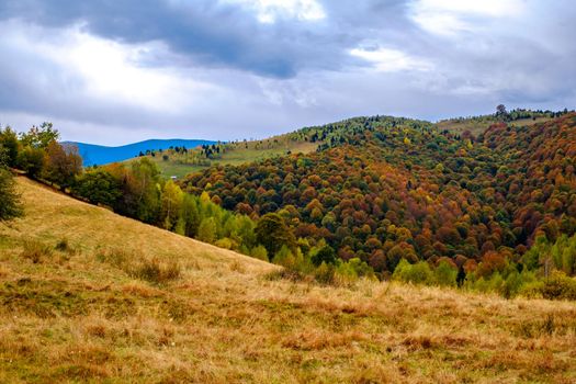 Colorful autumn landscape in the Romanian Carpathians, Fantanele village, Sibiu county, Cindrel mountains, 1100m, Romania