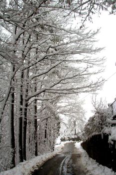 Liguria, Italy - February, 04,2021: Amazing heavy snow from the villlage in Italy. Beautifull photography of the white background with grey and blue sky. Snow and some iced trees.