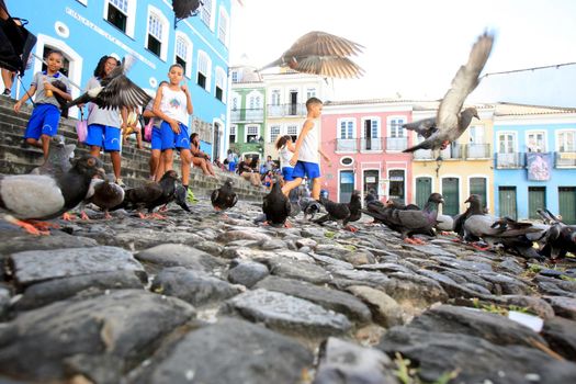 salvador, bahia / brazil - april 10, 2017: young students from a private school in the city of Salvador, are seen alongside pigeons in Pelourinho.



  

