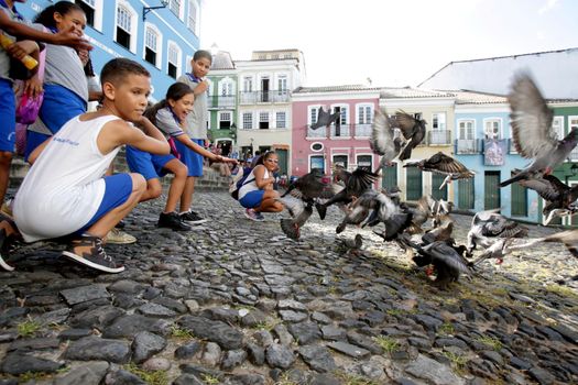 salvador, bahia / brazil - april 10, 2017: young students from a private school in the city of Salvador, are seen alongside pigeons in Pelourinho.



  

