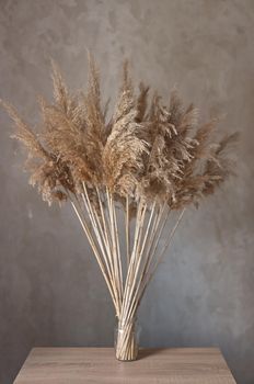 bouquet of reed plant on the background of a gray concrete wall with handmade macrame