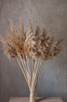 bouquet of reed plant on the background of a gray concrete wall with handmade macrame