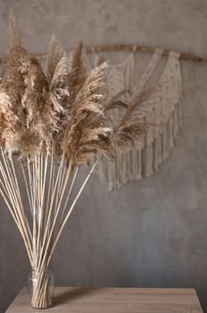 bouquet of reed plant on the background of a gray concrete wall with handmade macrame