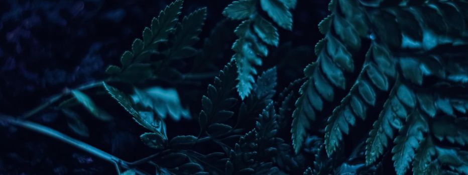 Blue plant leaves at night as surreal botanical background, minimal design backdrop