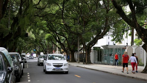 salvador, bahia, brazil - december 14, 2020: vehicles are seen on a tree-lined street in the Corredor da Vitoria in the city of Salvador.