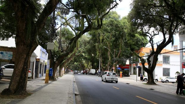 salvador, bahia, brazil - december 14, 2020: vehicles are seen on a tree-lined street in the Corredor da Vitoria in the city of Salvador.