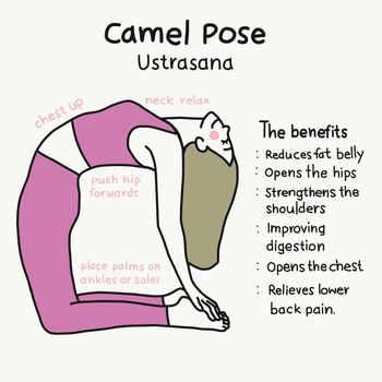 Camel yoga pose and benefits cartoon vector illustration