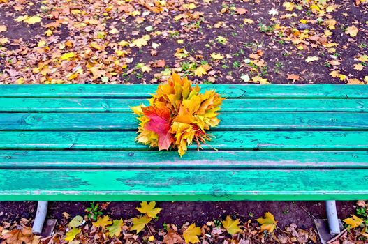 Bunch of red, yellow and orange maple leaves on a green bench in the park