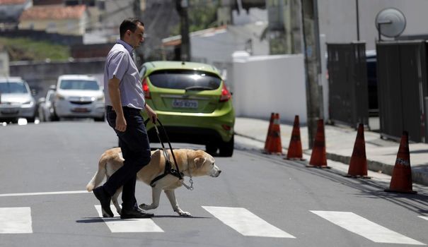 salvador, bahia / brazil - march 20, 2019: visually impaired uses his guide dog to get around the neighborhood of Nazare in salvador city.


