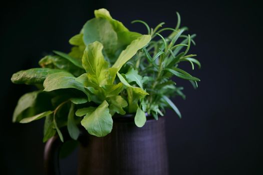 Fresh spicy herbs - mint, rosemary, dill, arugula and spinach in a black cup on a black background. top view