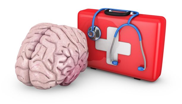 the human brain and a  red suitcase, 3d render.